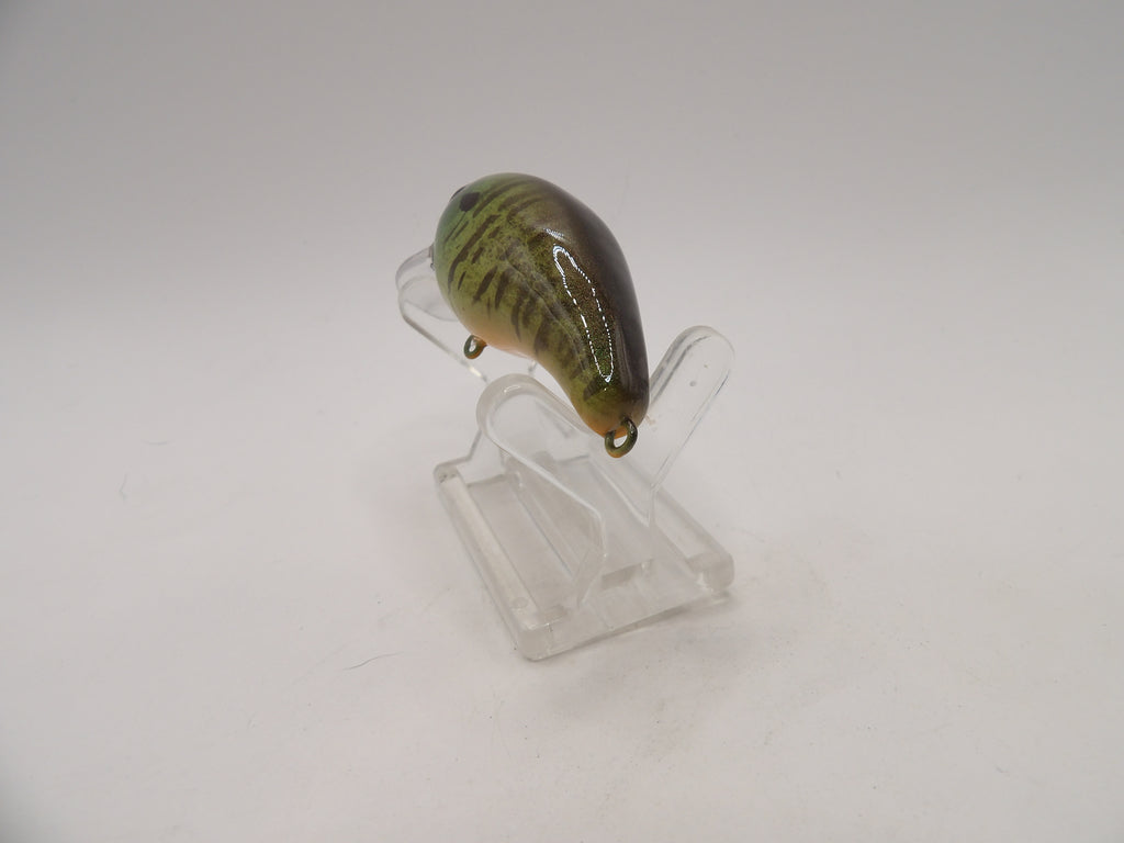 Bluegill 1- KO