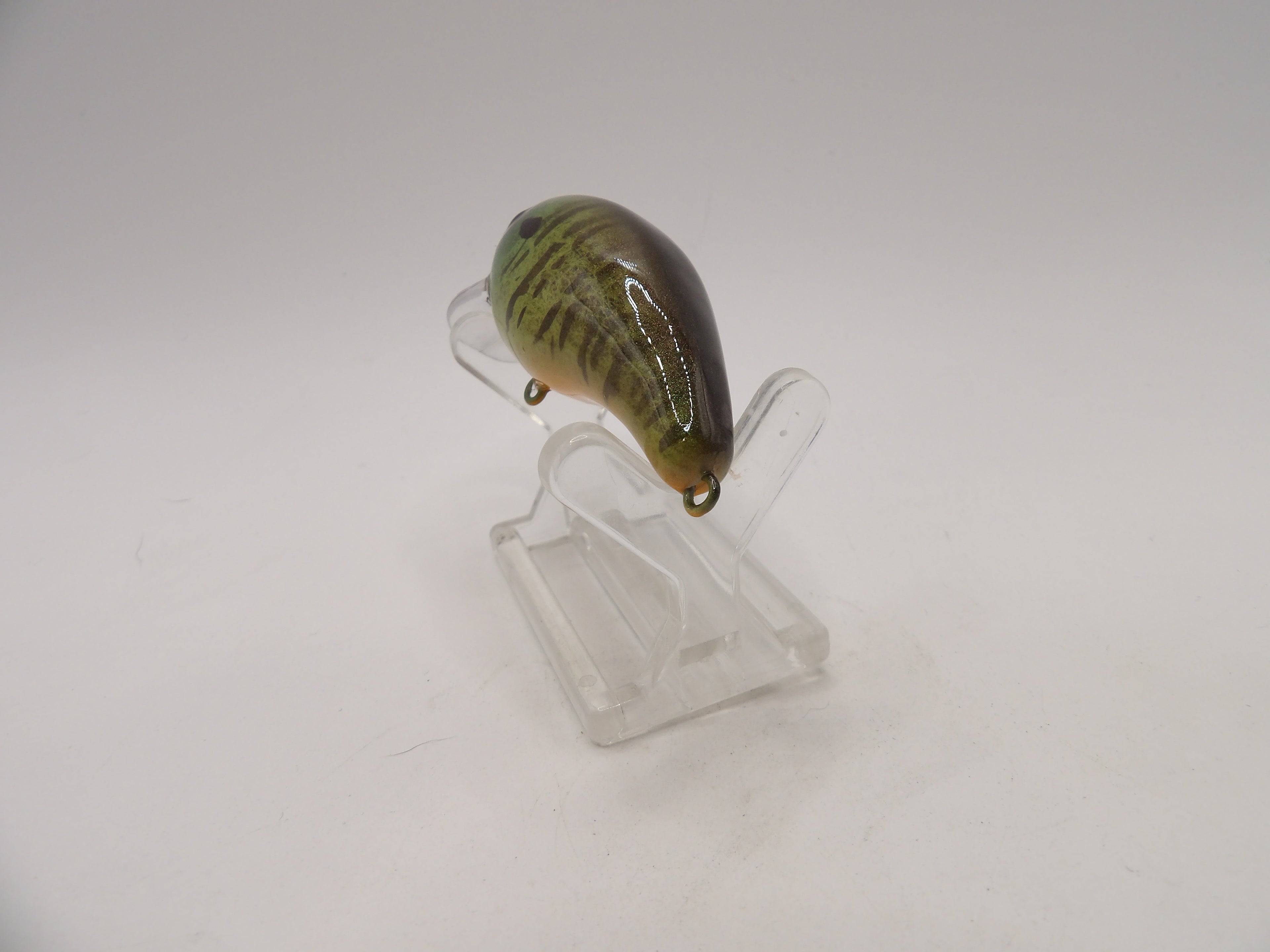 Bluegill 1- KO