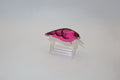 Pink Crackle Back Craw 1.5 LC KO