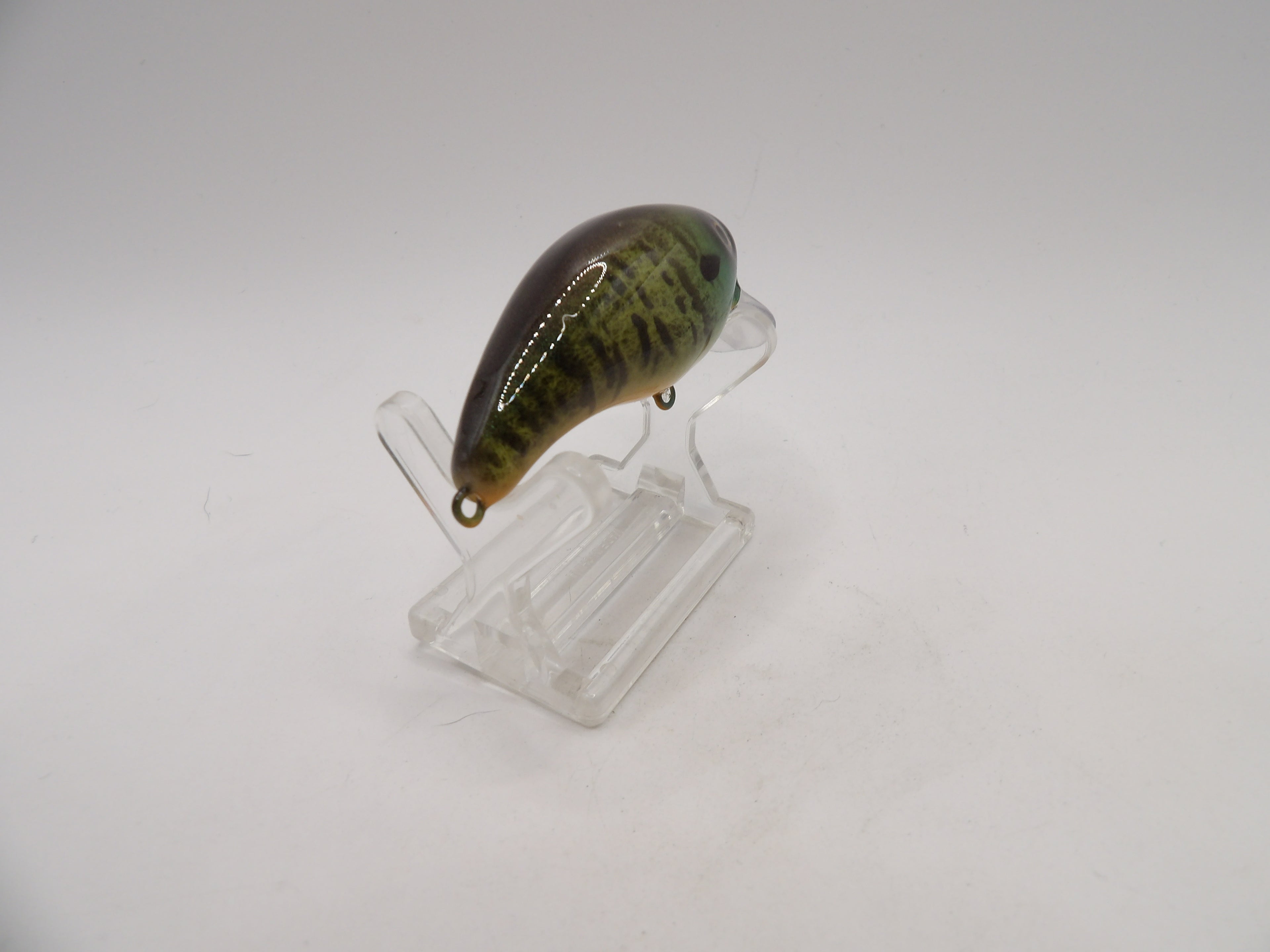 Bluegill 1- KO