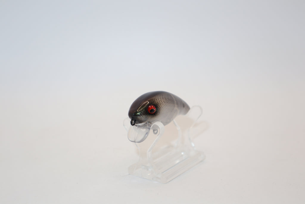 Ghost Shad 1- KO