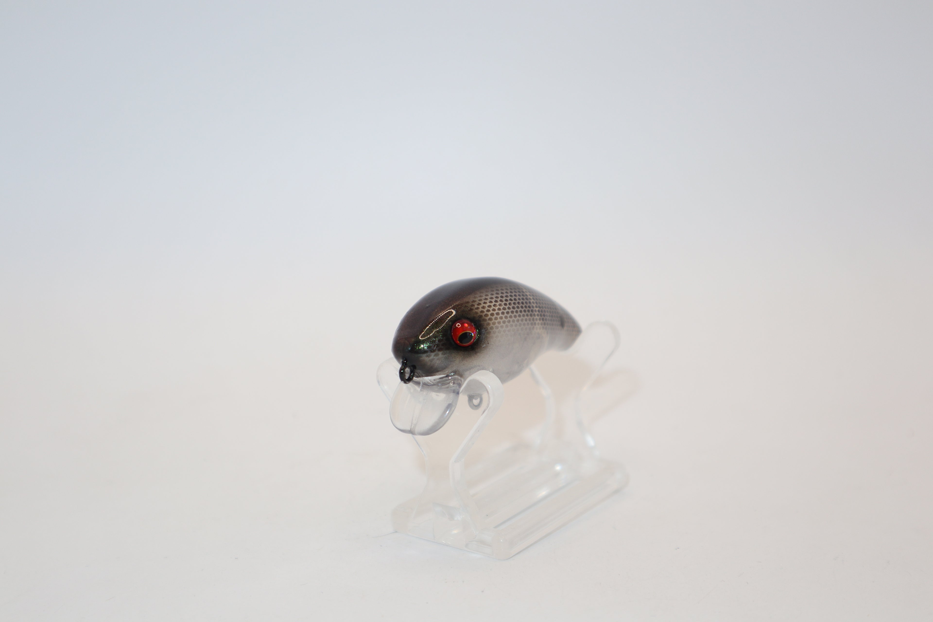 Ghost Shad 1- KO