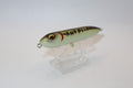 Baby Bass Walk The Dog Topwater