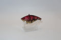 Red/Gold Transparent Craw