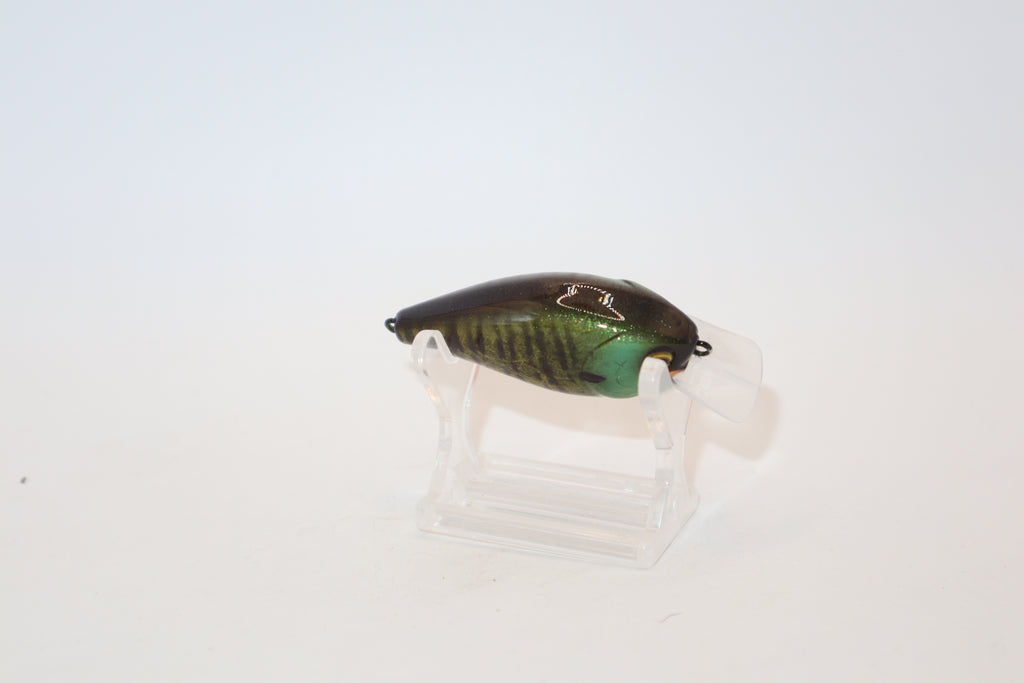 Bluegill 1.5 LC KO