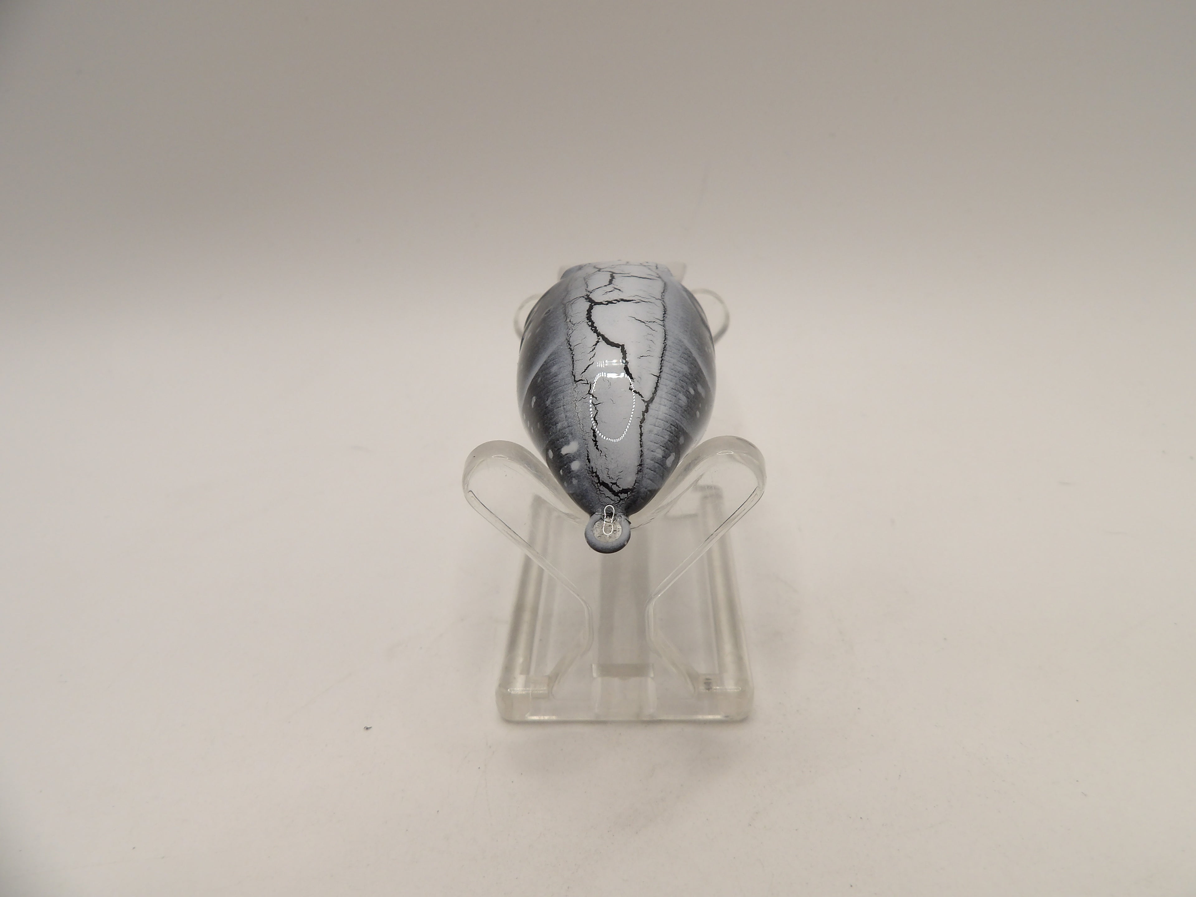 Black Crackle Back Craw Wiggle Griffon KO