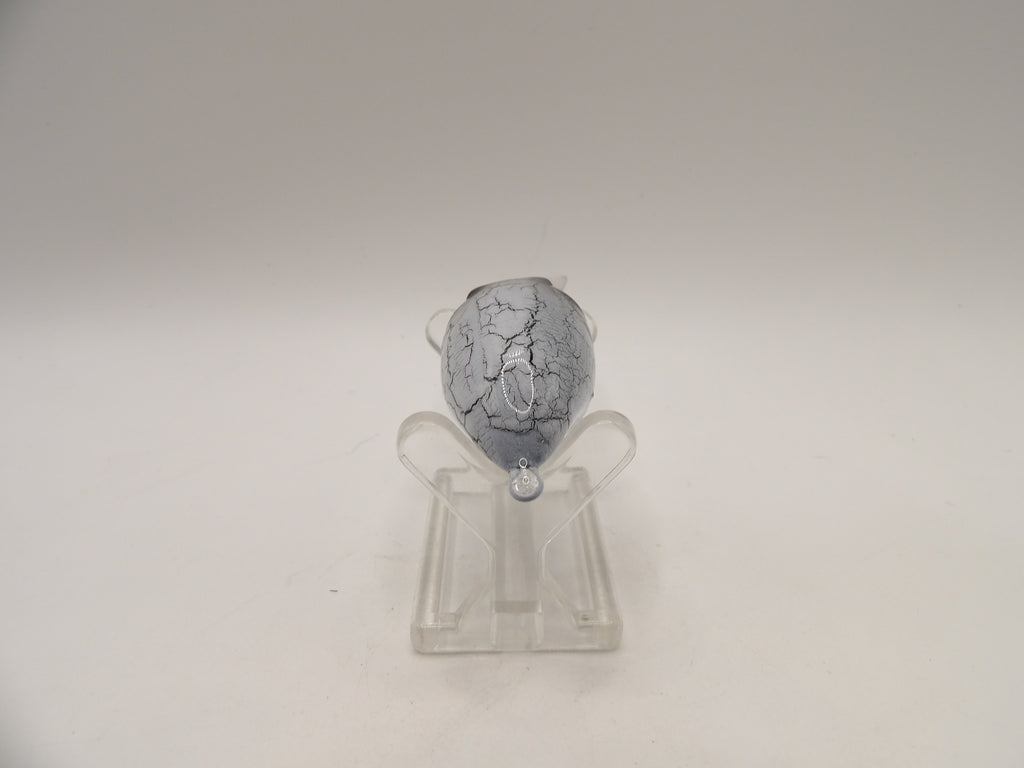 White Crackle Wiggle Griffon KO