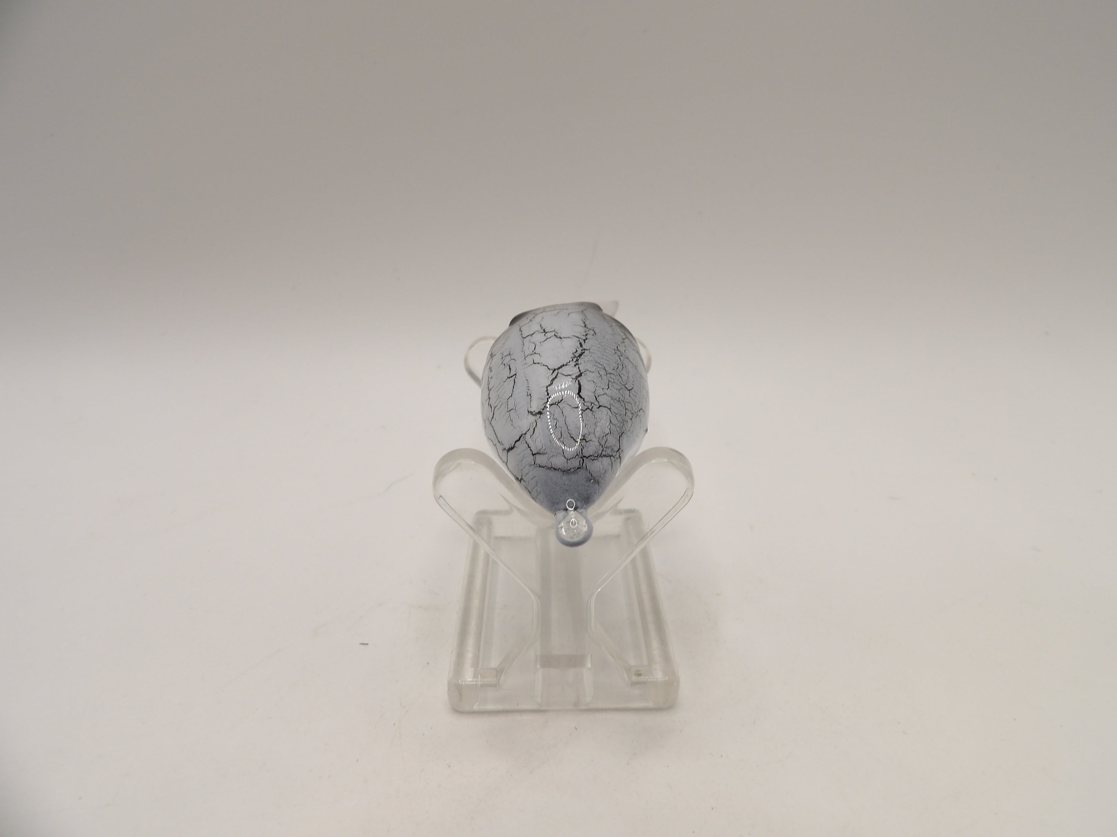 White Crackle Wiggle Griffon KO