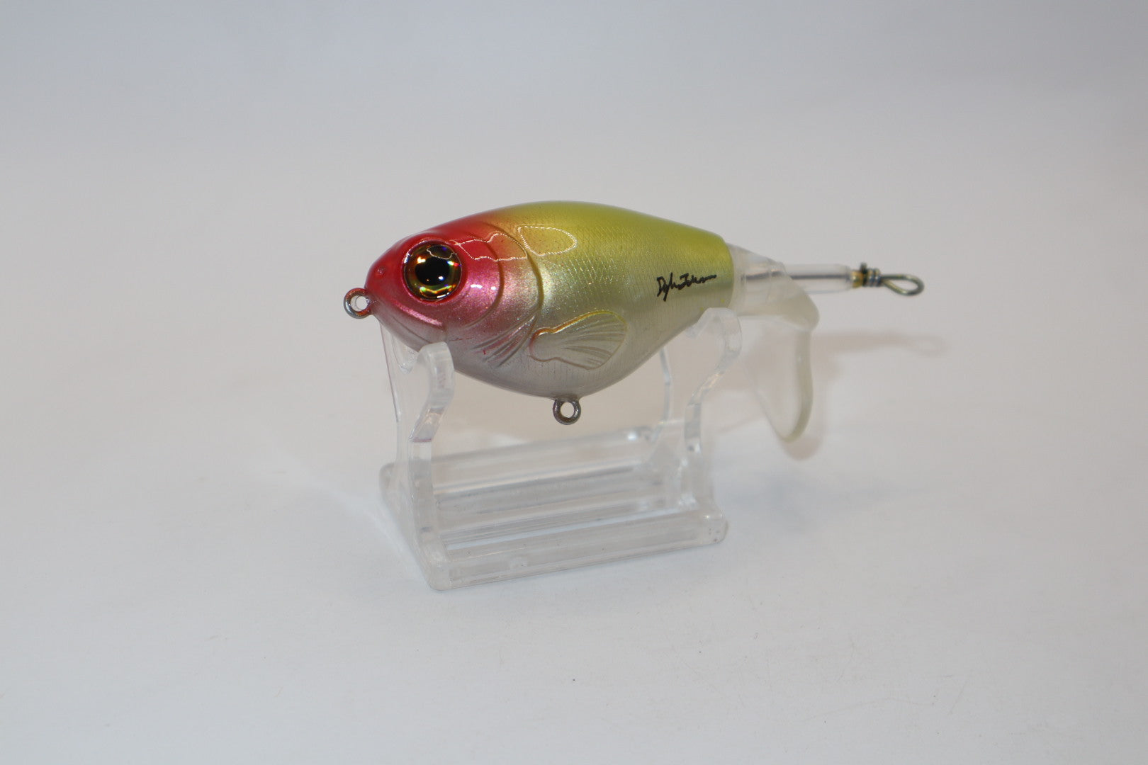Clown Tail Splasher