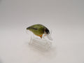 Baby Bass 1- KO