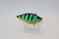 Blue Chart Tiger Lipless 3”, 1/2 oz