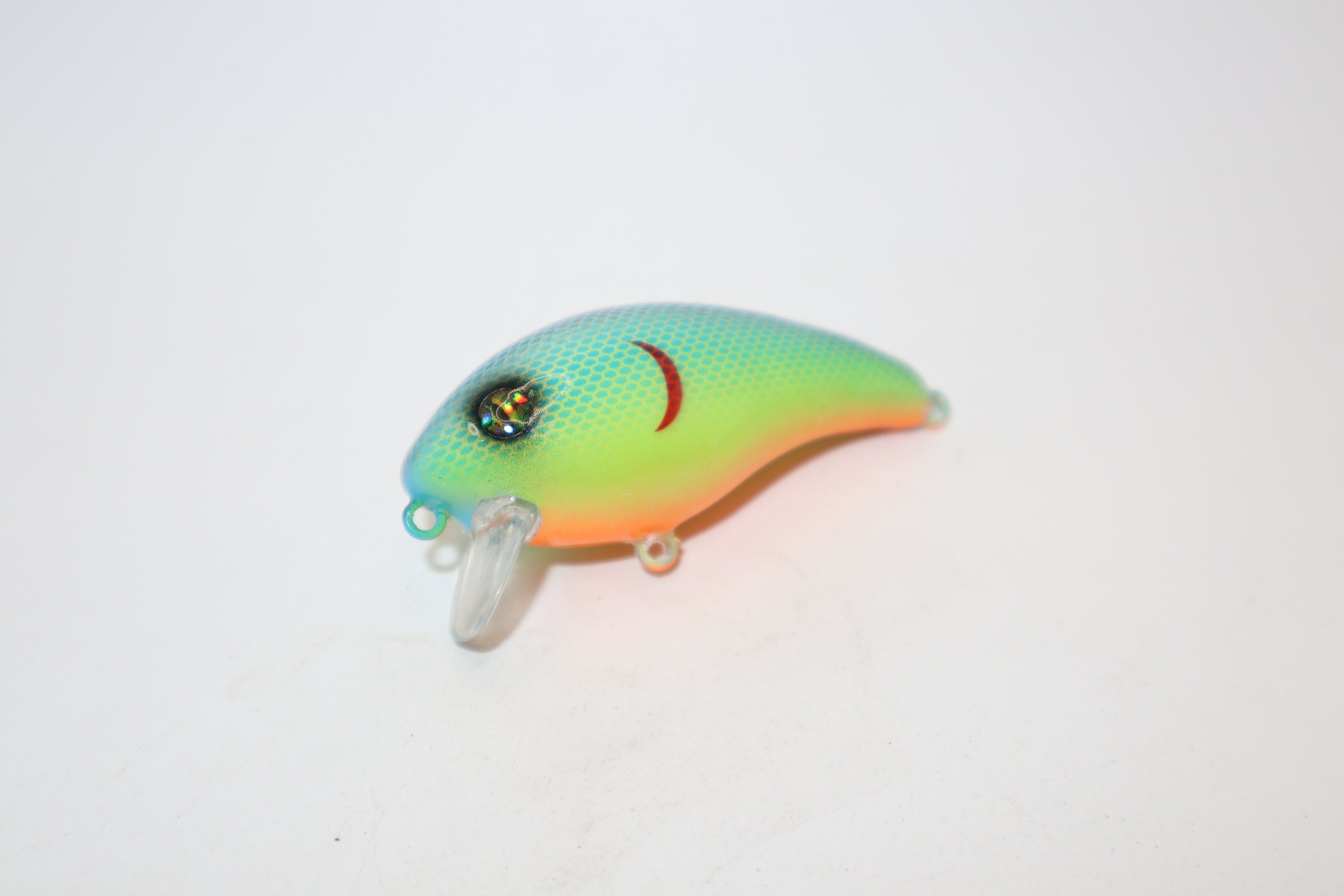 Citrus Shad 1- KO