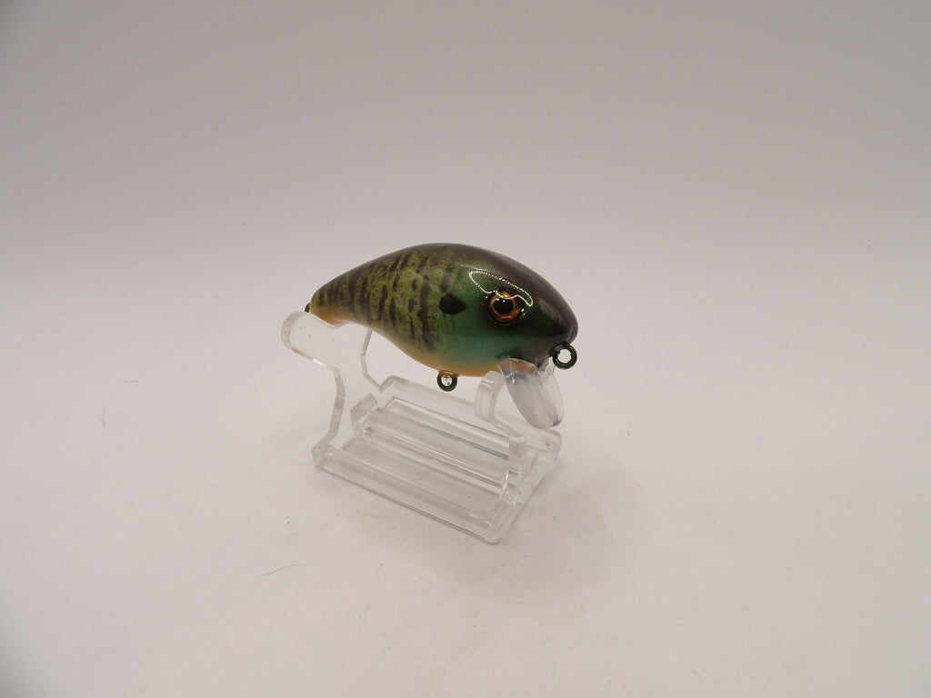 Bluegill 1- KO