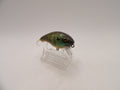 Bluegill 1- KO