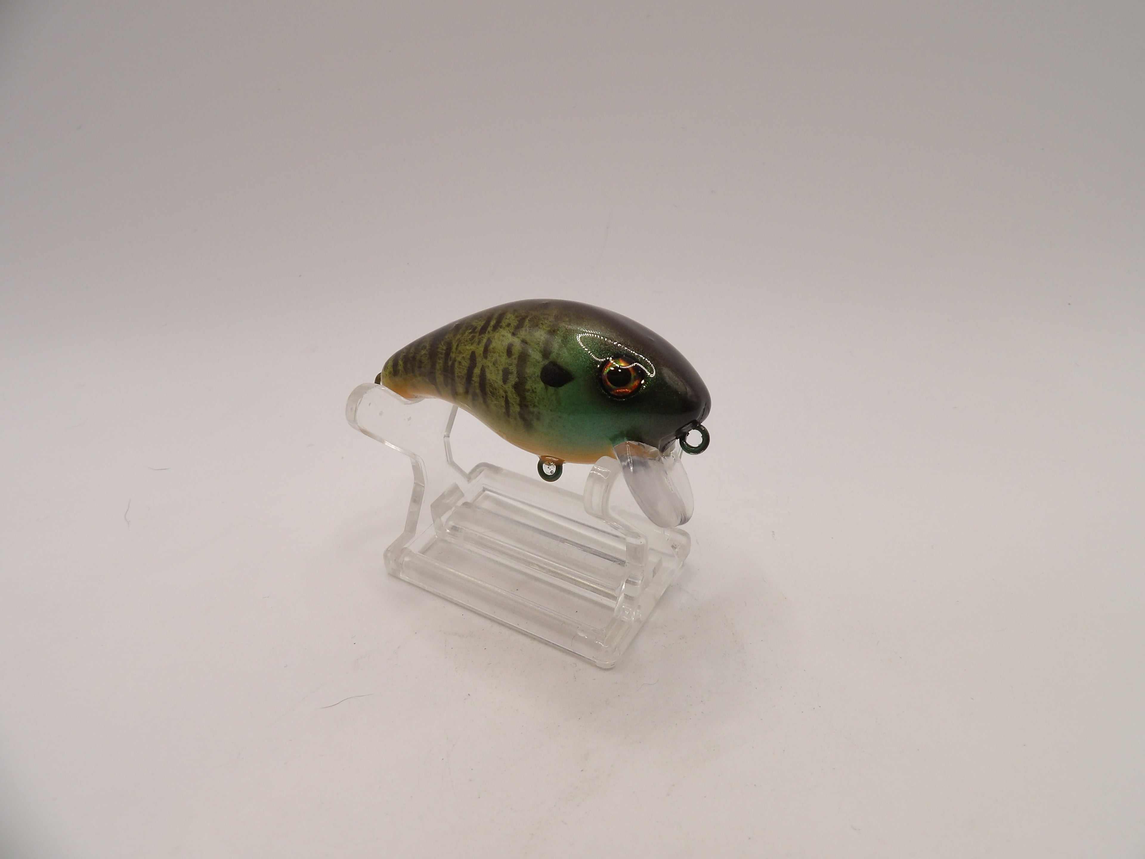 Bluegill 1- KO