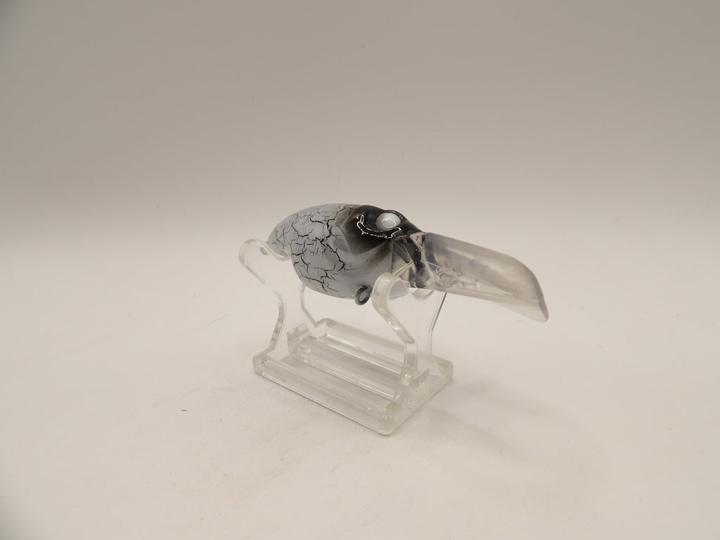 White Crackle Wiggle Griffon KO