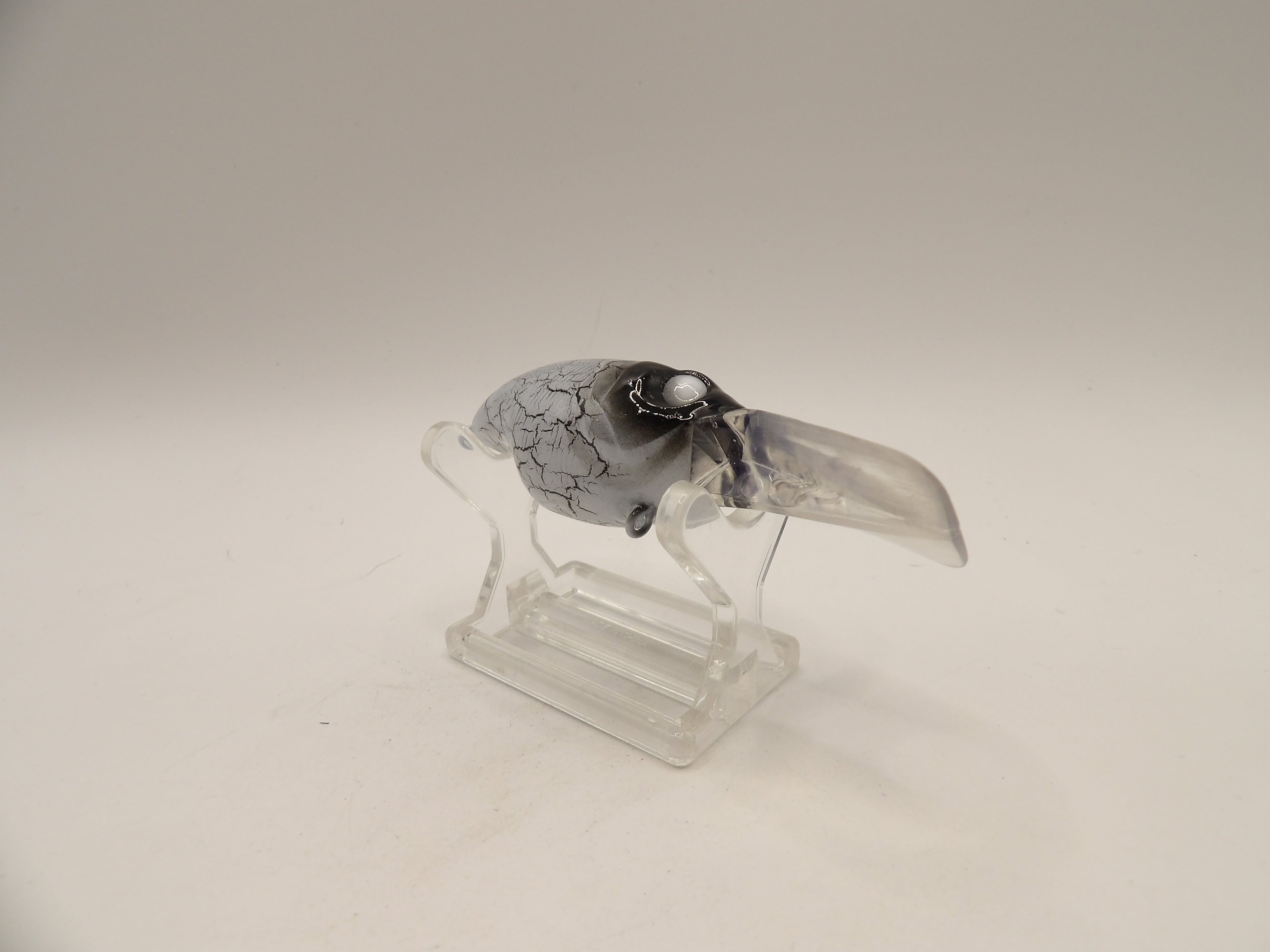 White Crackle Wiggle Griffon KO
