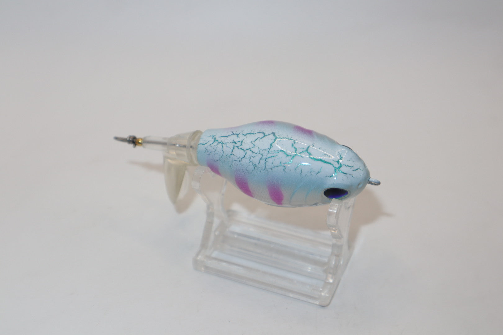 Purple Tiger Crackle Back Tail Splasher