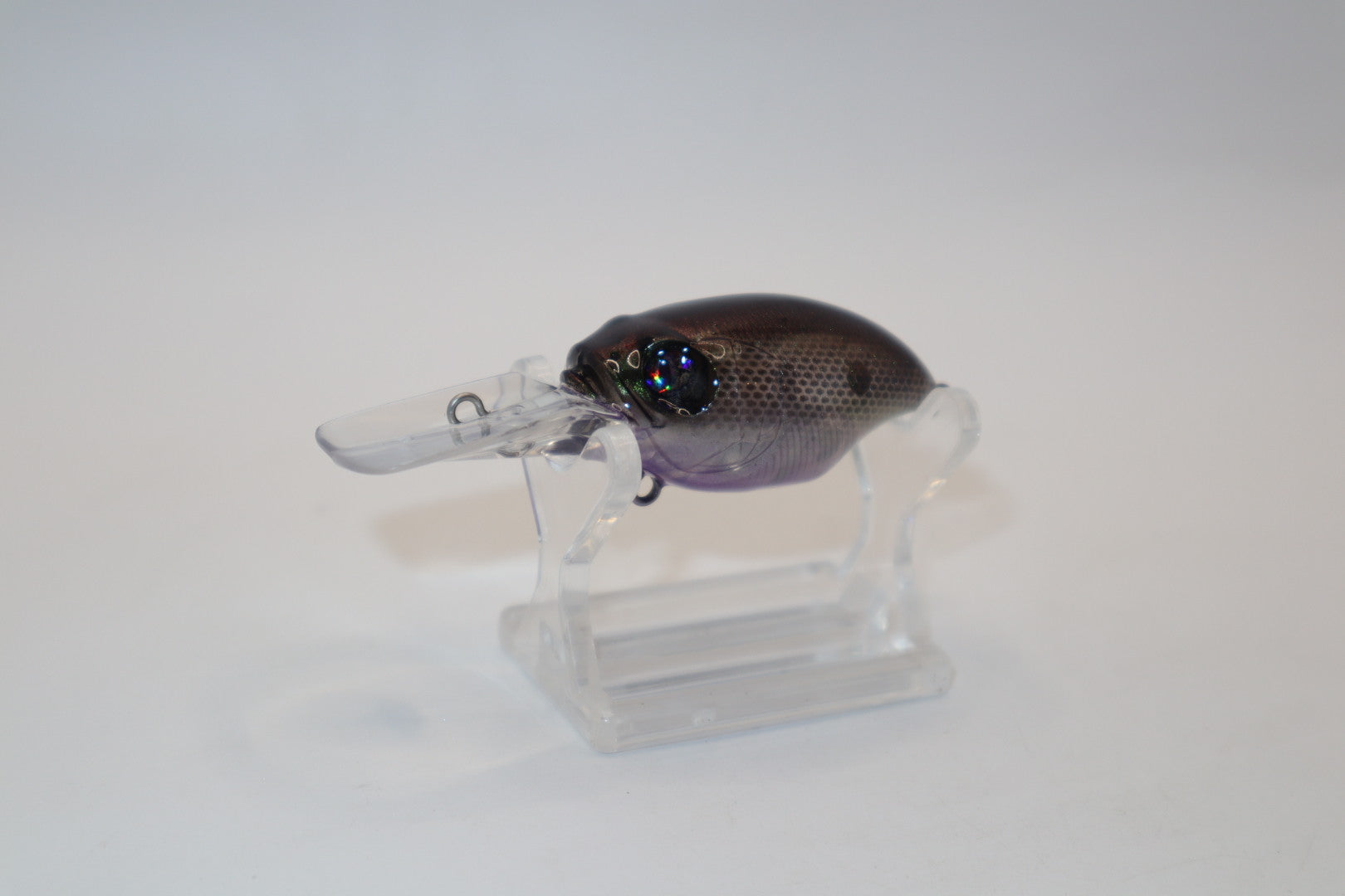 Chartreuse/Purple Ghost Shad Wiggle Griffon KO