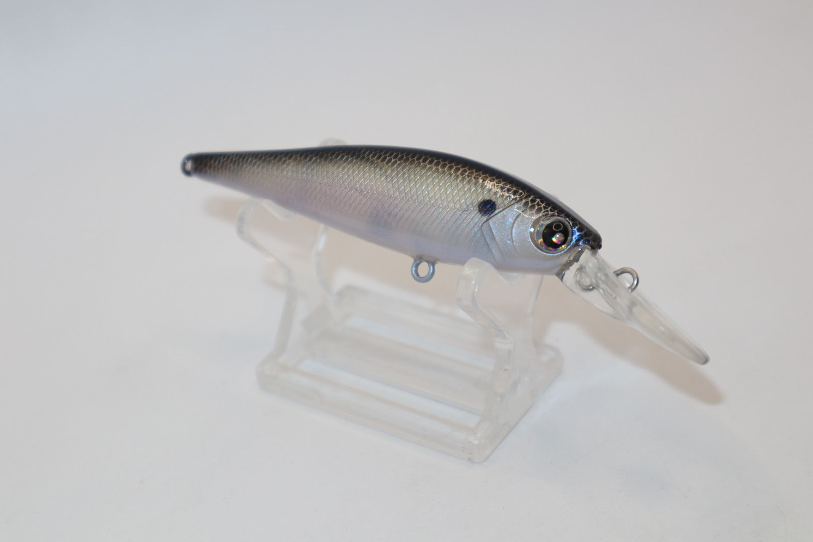 Threadfin Shad Flicker KO (YouTube)