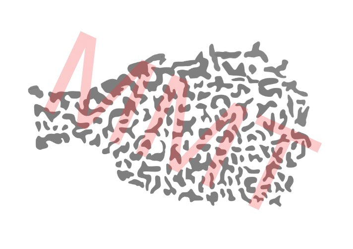 Crappie Mylar Stencil 2”, 2-1/4”, 2-3/4”