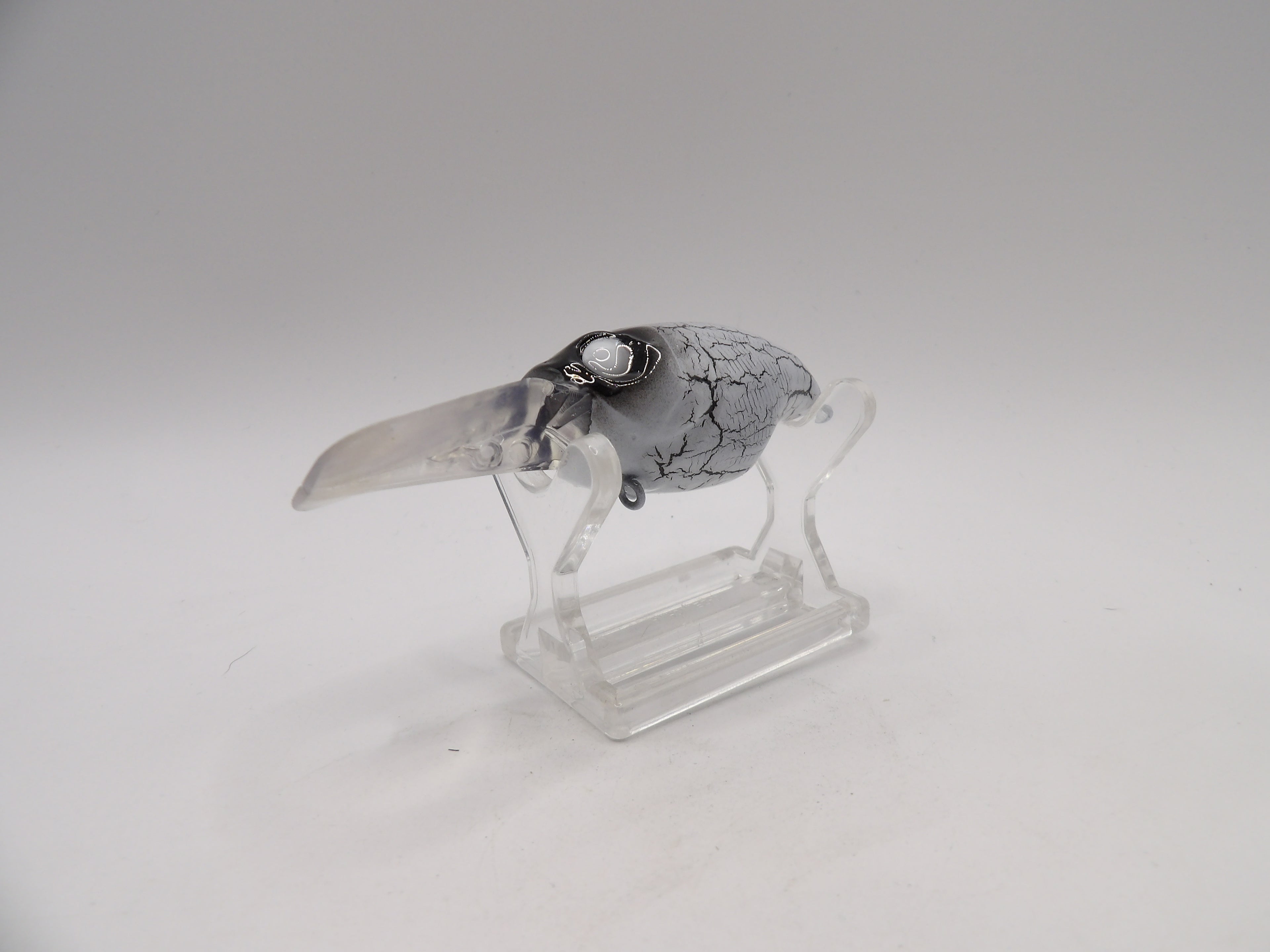 White Crackle Wiggle Griffon KO