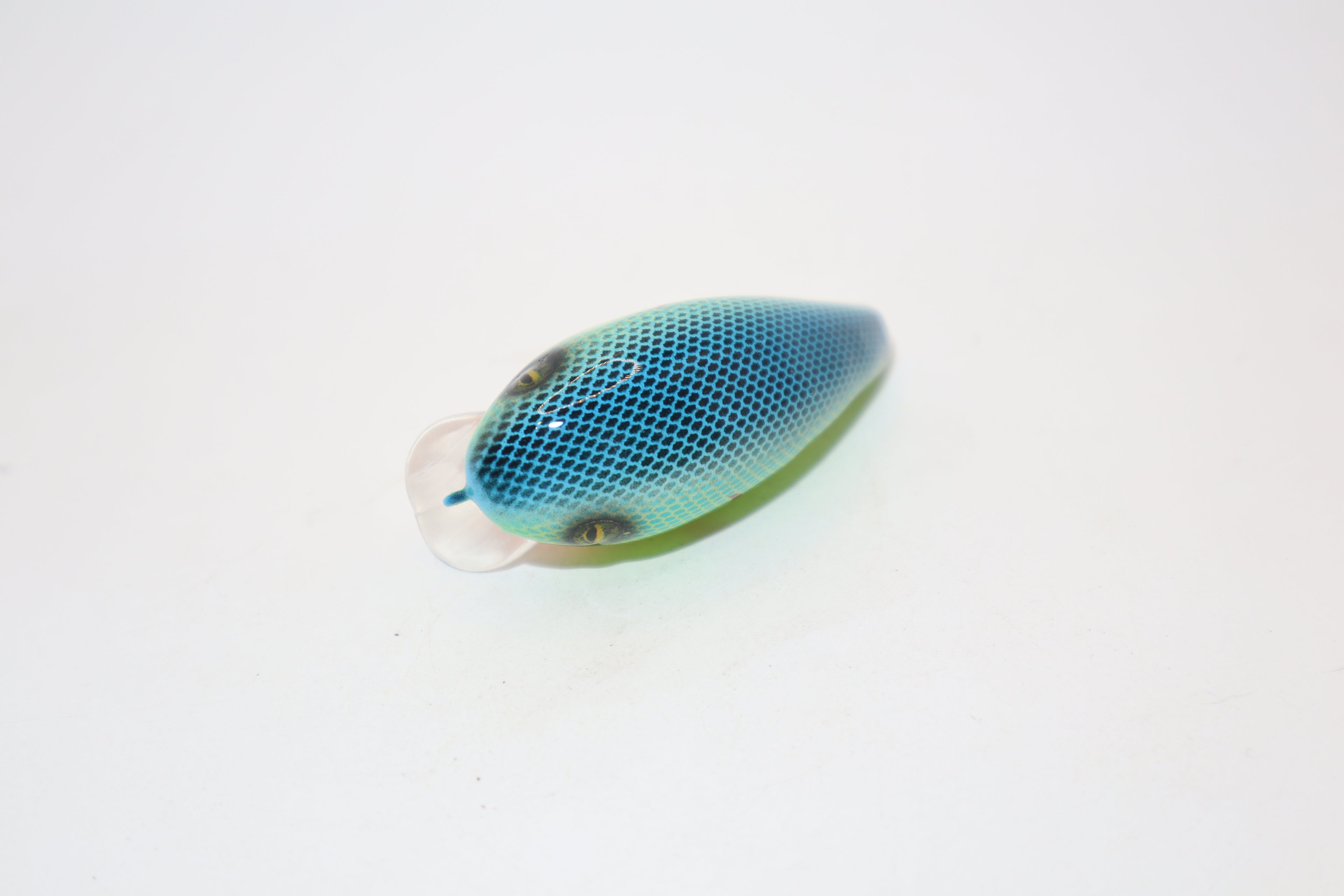 Citrus Shad 1- KO