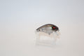 Ghost Shad 1- KO