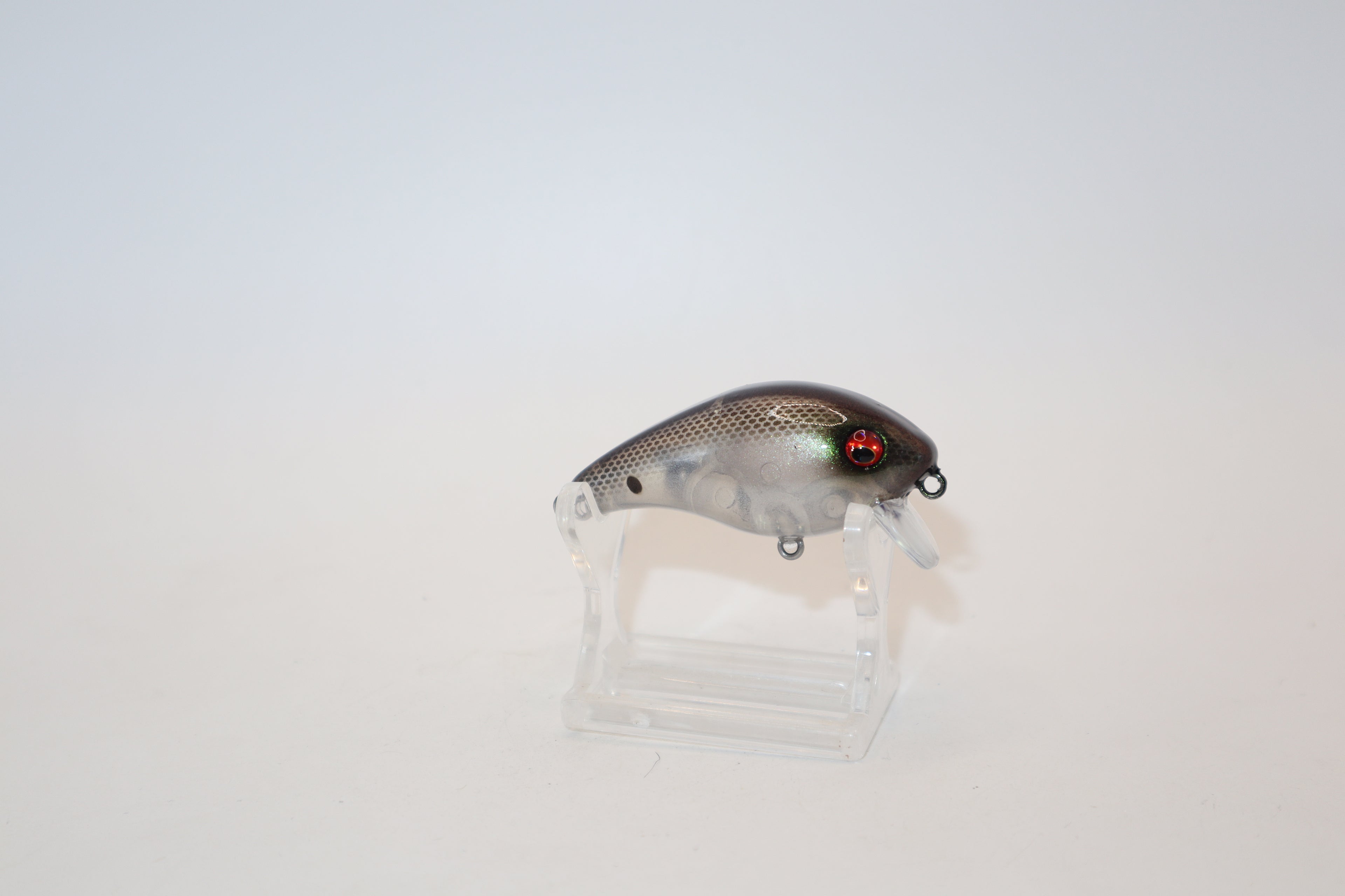 Ghost Shad 1- KO