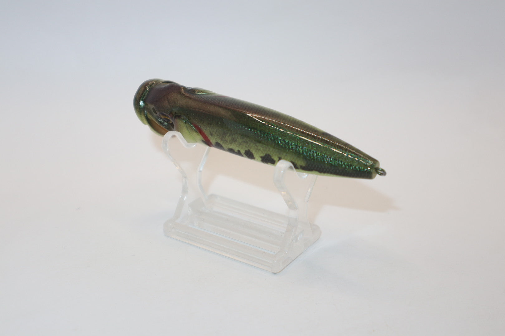 Baby Bass Popper
