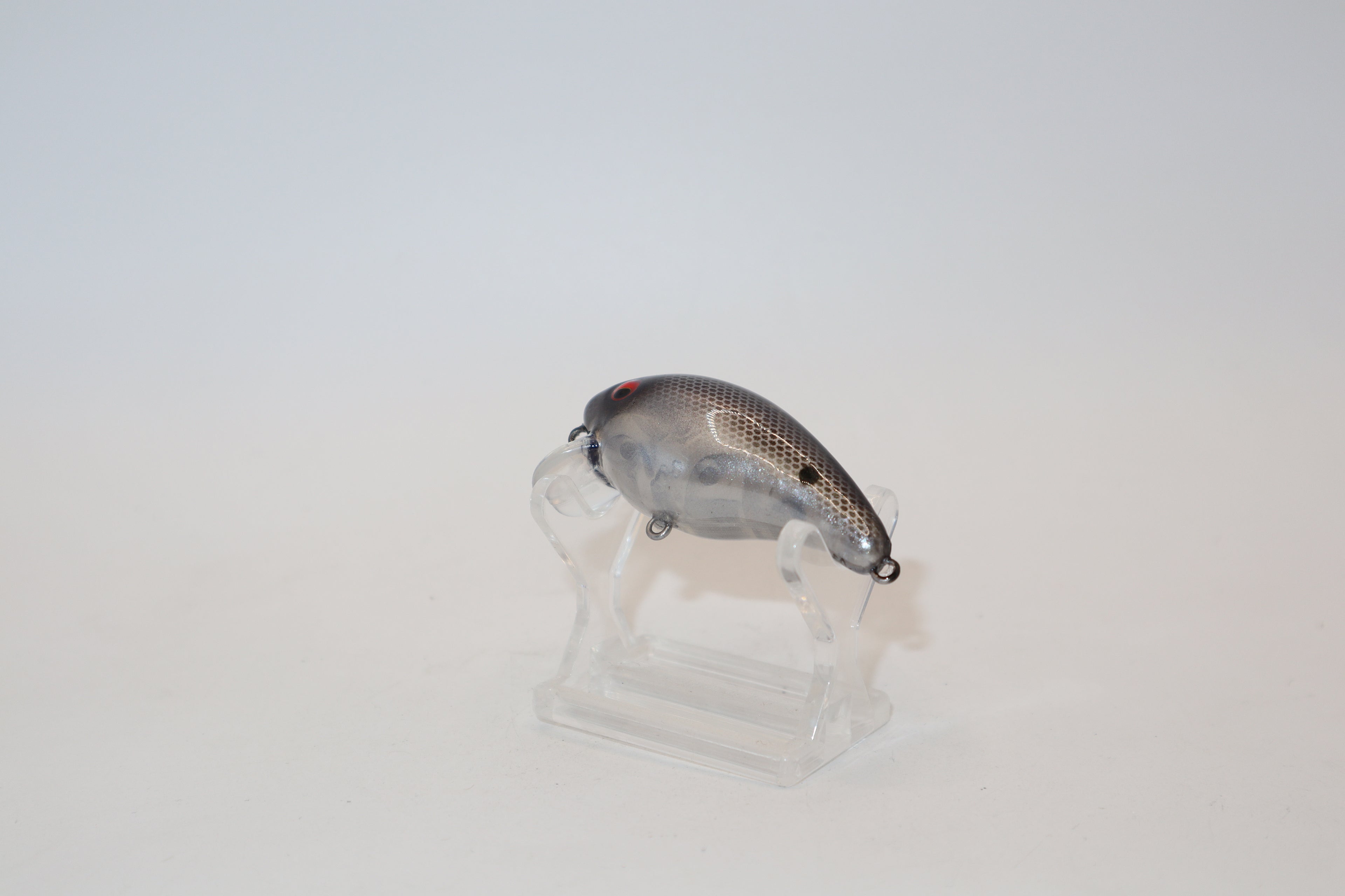 Ghost Shad 1- KO