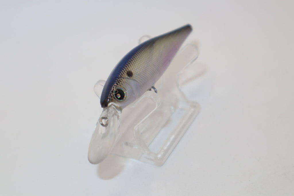 Threadfin Shad Flicker KO (YouTube)