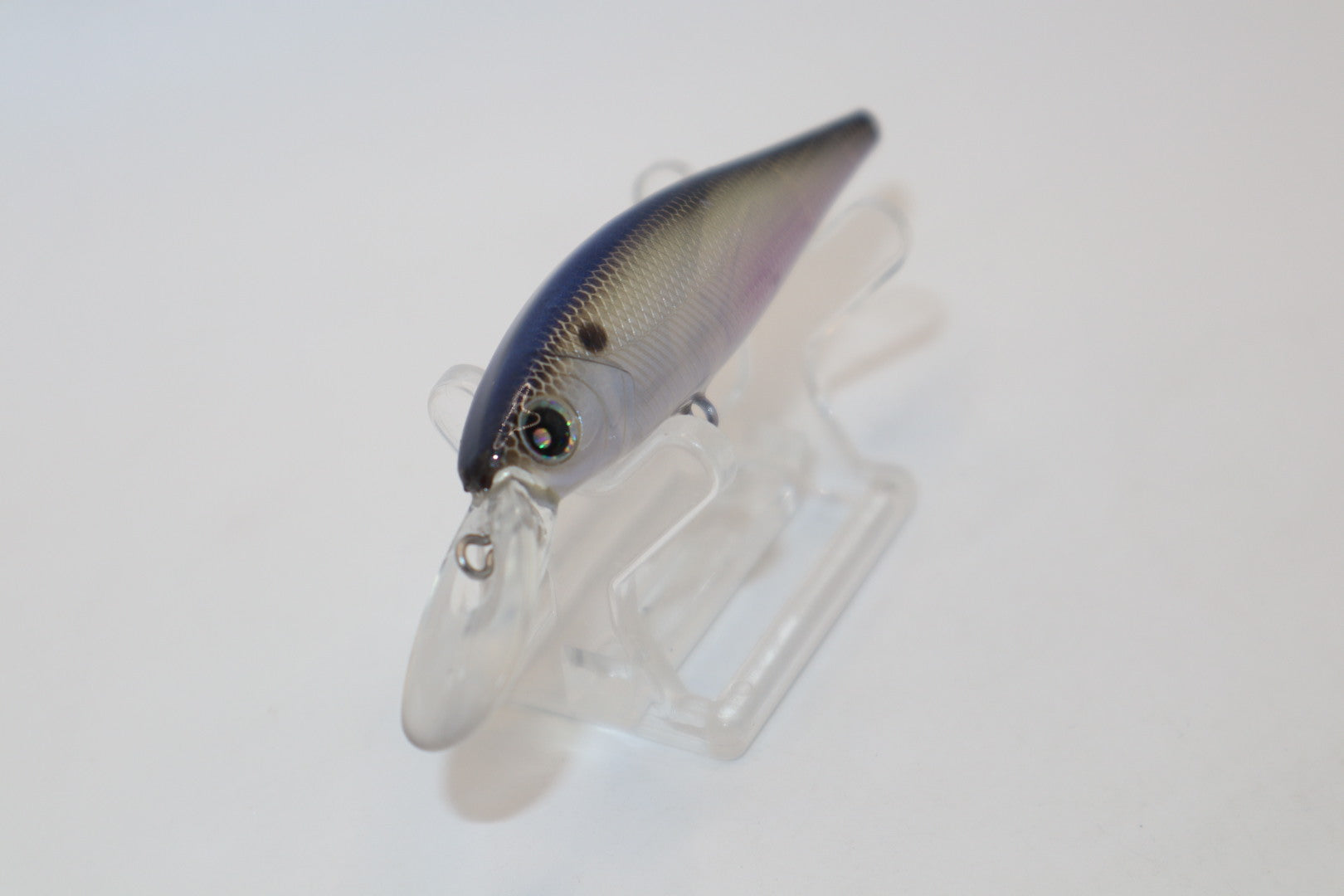 Threadfin Shad Flicker KO (YouTube)