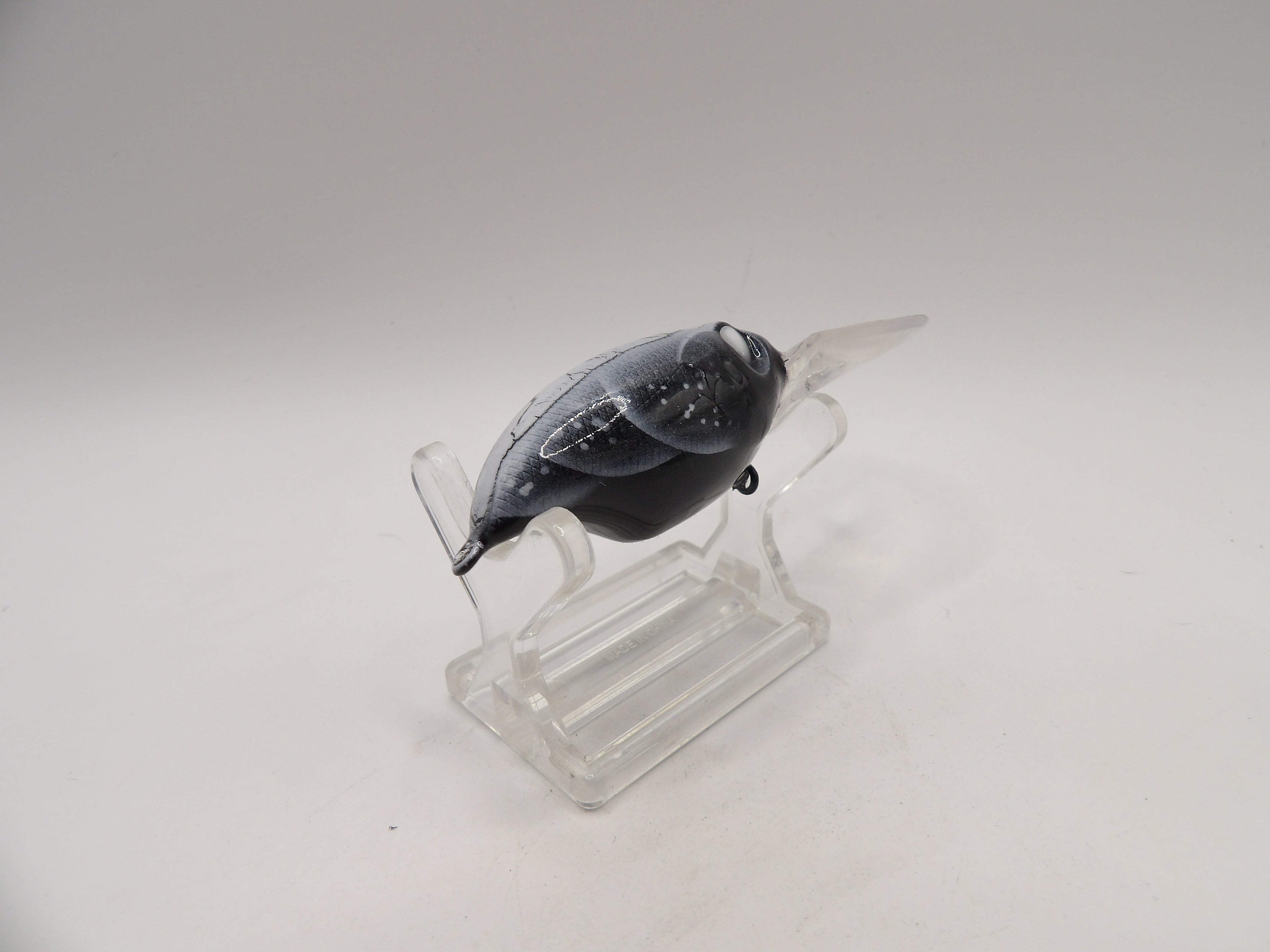 Black Crackle Back Craw Wiggle Griffon KO